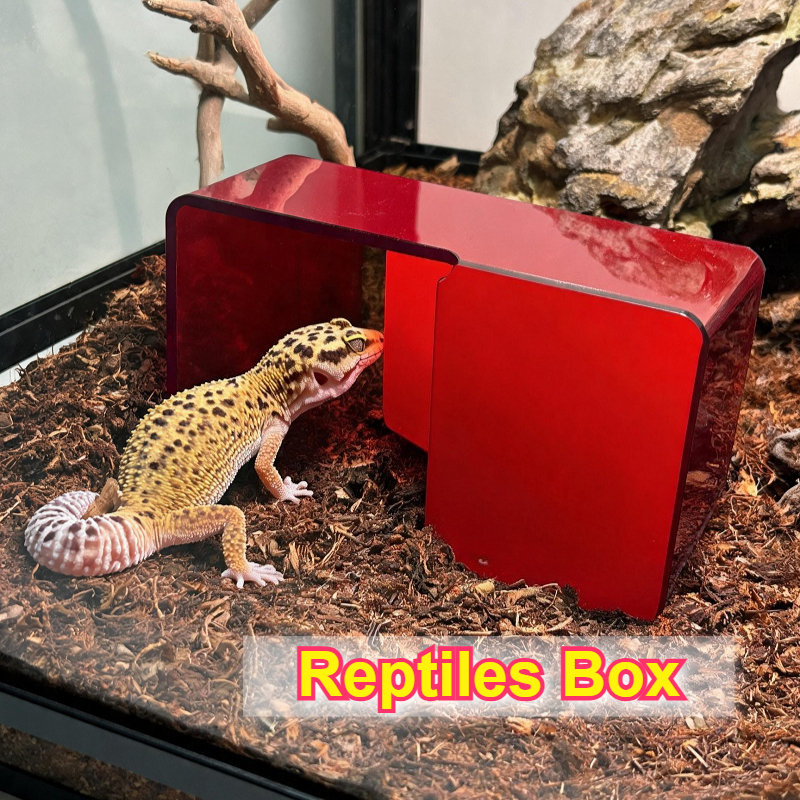 Unique Lighting Decor - Red Acrylic Reptile Box Habitat Decor