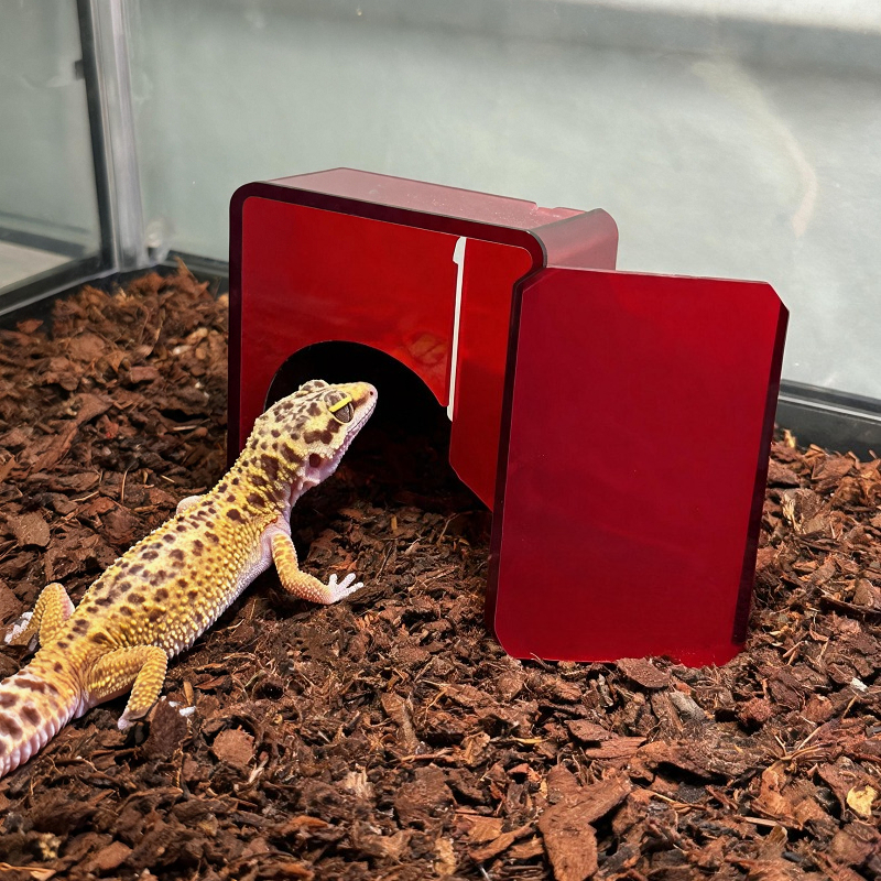 Red Acrylic Reptile Box Habita - Unique Lighting Decor avaliação e preço
