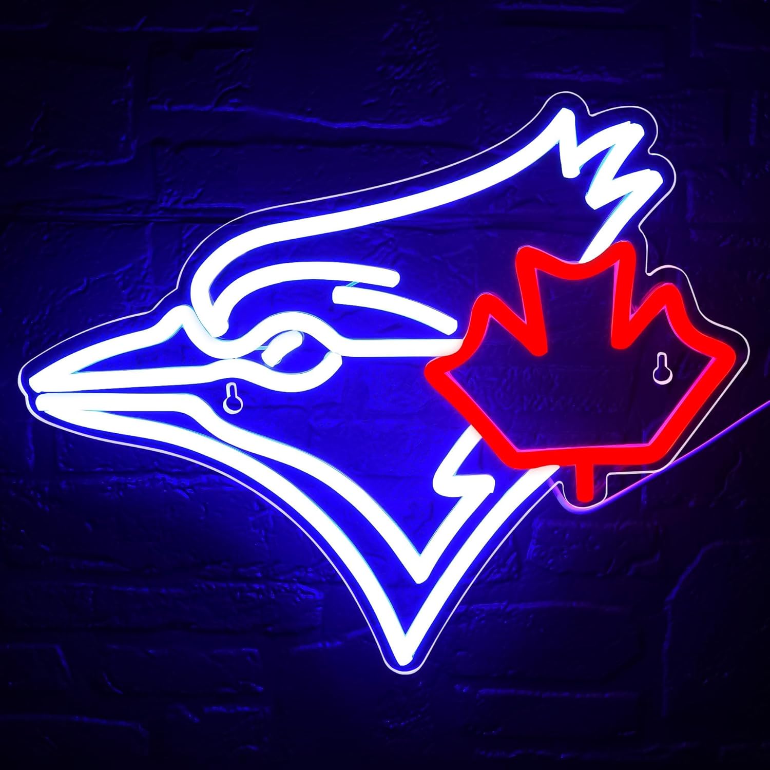 USB Dimmable Blue Jay with Map - Jay Lighting Decor avaliação e preço