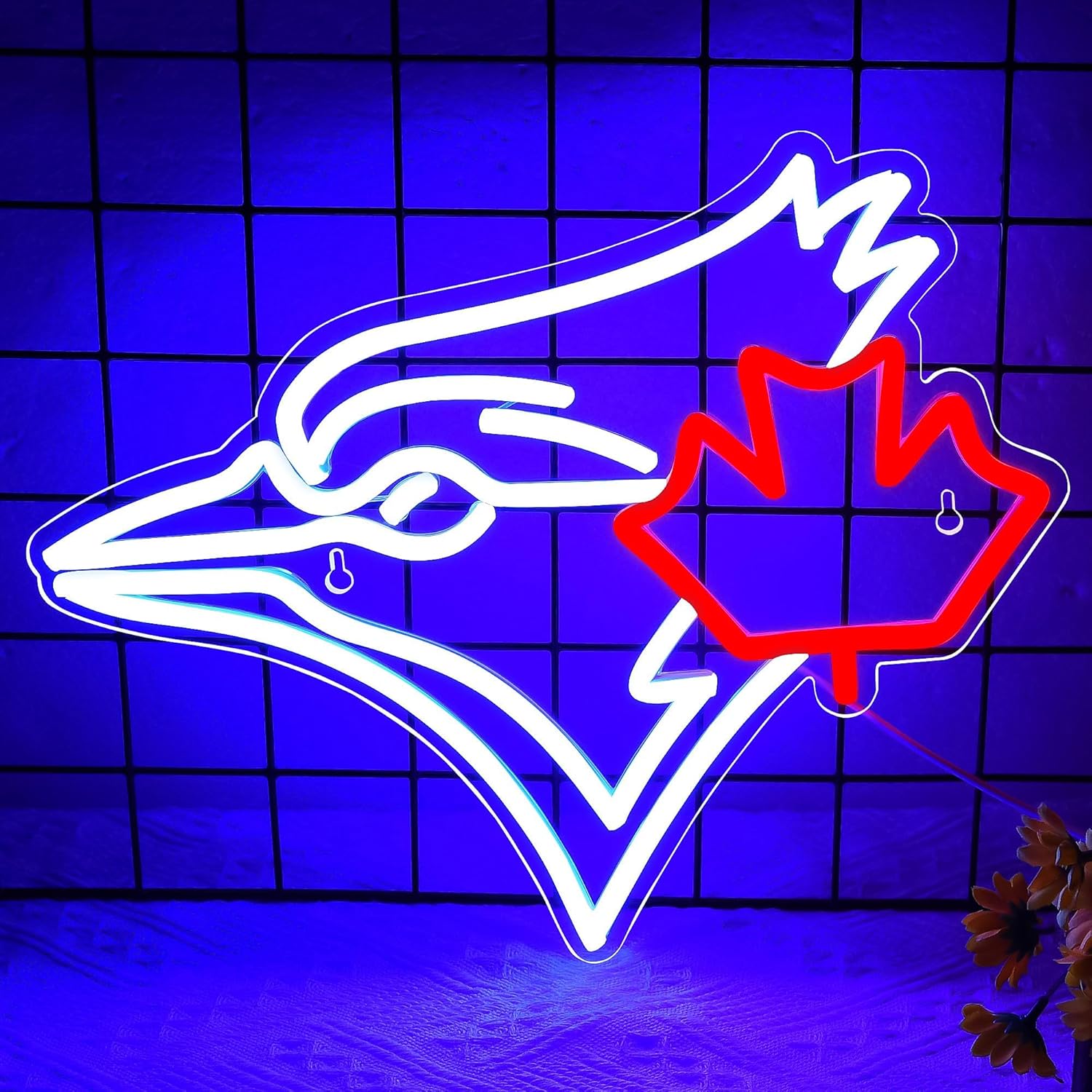 USB Dimmable Blue Jay with Map - Jay Lighting Decor avaliação e preço