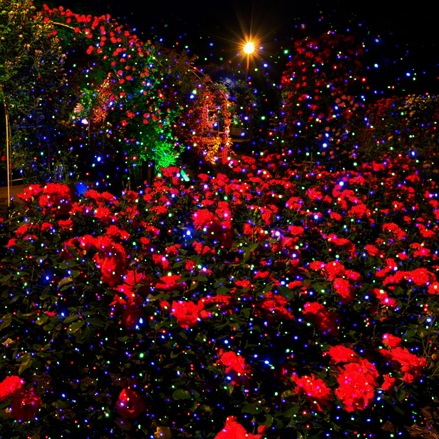 Christmas Starry Laser Project - Lighting Effect Home Decor avaliação e preço