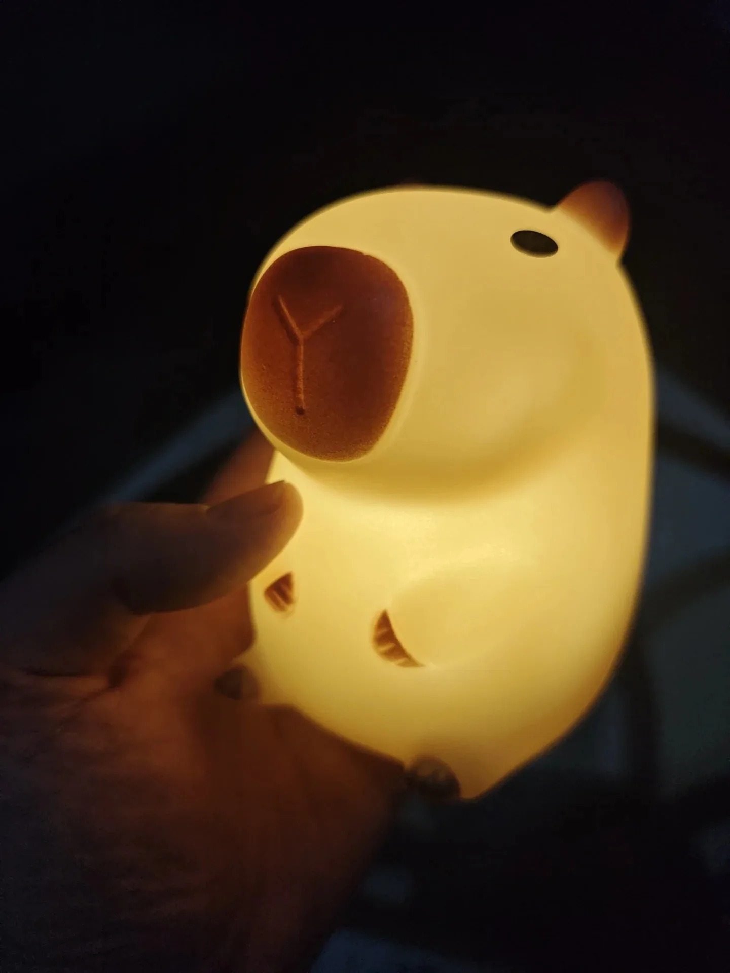 Cute Pet Capybara Night Light  - Decor Lighting Sales avaliação e preço