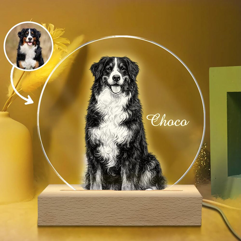 Pet Portrait Personalized LED  - Unique Lighting Decor avaliação e preço